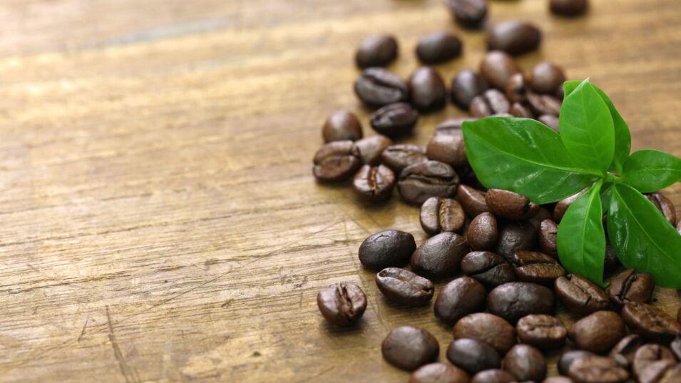 Eine Handvoll gerösteter Kaffeebohnen liegt auf einem hölzernen Untergrund, begleitet von einem frischen grünen Blatt.