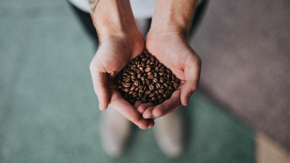 Kaffeebohnen gehalten von zwei Händen
