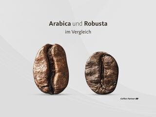 Arabica vs Robust im Vergleich