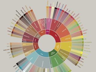 scaa flavorwheel