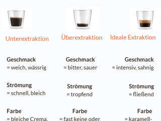 Infografik zur Kaffeeextraktion