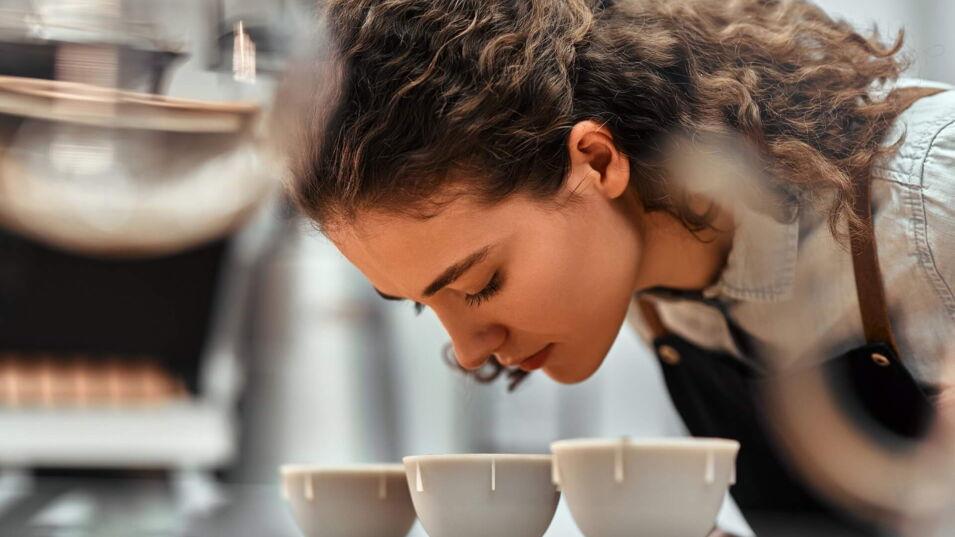 Coffee-Shop-Mitarbeiterin prüft die Qualität des Kaffees