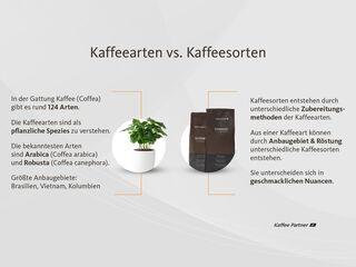 Infografik Kaffeesorten und -arten