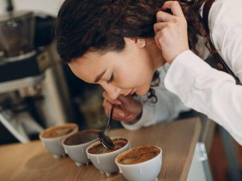 Degustation verschiedener Kaffeesorten