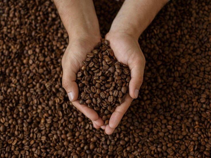 Hand hält viele geröstete Kaffeebohnen