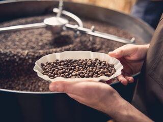 kaffeebohnen im teller nach der röstung