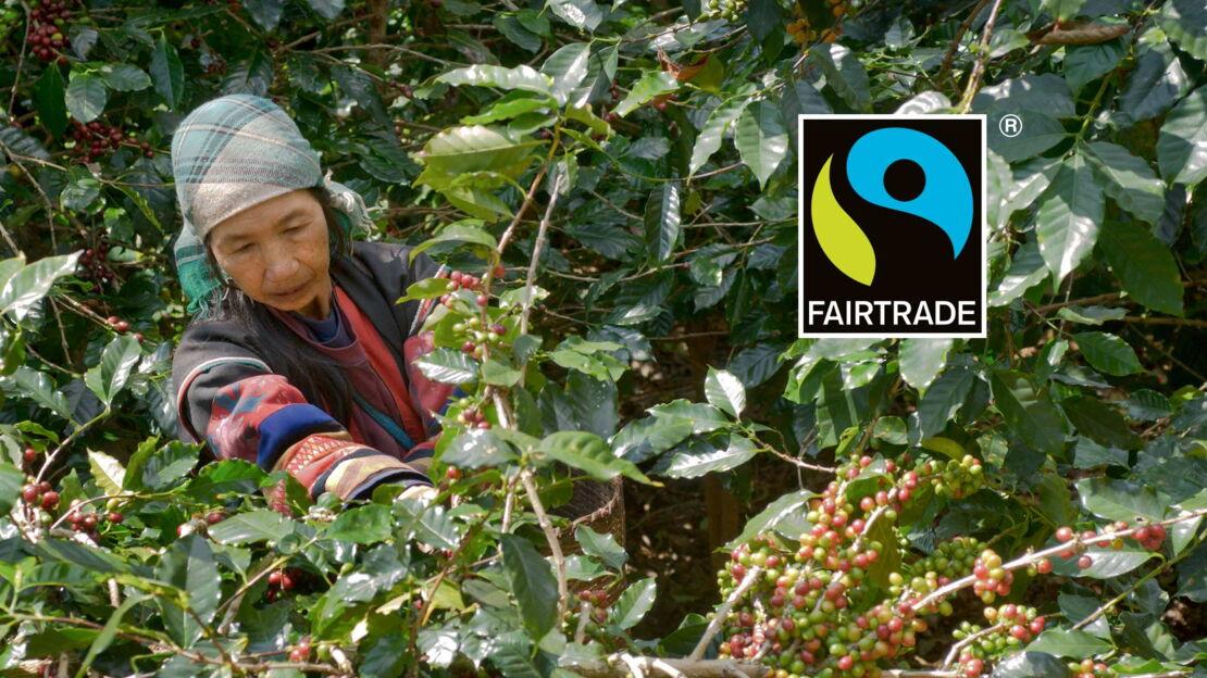 fair trade siegel