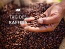 Hand hält frisch geröstete Kaffeebohnen