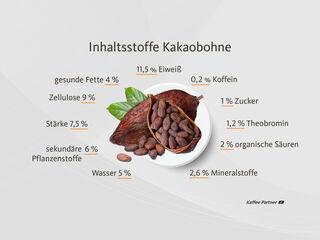 Zu den Inhaltsstoffen der Kakaobohnen gehören 4 % gesunde Fette, 11,5 % Eiweiß, 9 % Zellulose, 7,5 % Stärke, 6 % sekundäre Pflanzenstoffe, 5 % Wasser, 2,6 % Mineralstoffe, 2 % organische Säuren , 1,2 % Theobromin, 1 % Zucker, 0,2 % Koffein