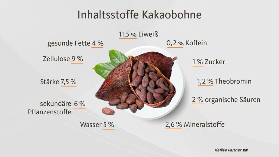 Zu den Inhaltsstoffen der Kakaobohnen gehören 4 % gesunde Fette, 11,5 % Eiweiß, 9 % Zellulose, 7,5 % Stärke, 6 % sekundäre Pflanzenstoffe, 5 % Wasser, 2,6 % Mineralstoffe, 2 % organische Säuren , 1,2 % Theobromin, 1 % Zucker, 0,2 % Koffein