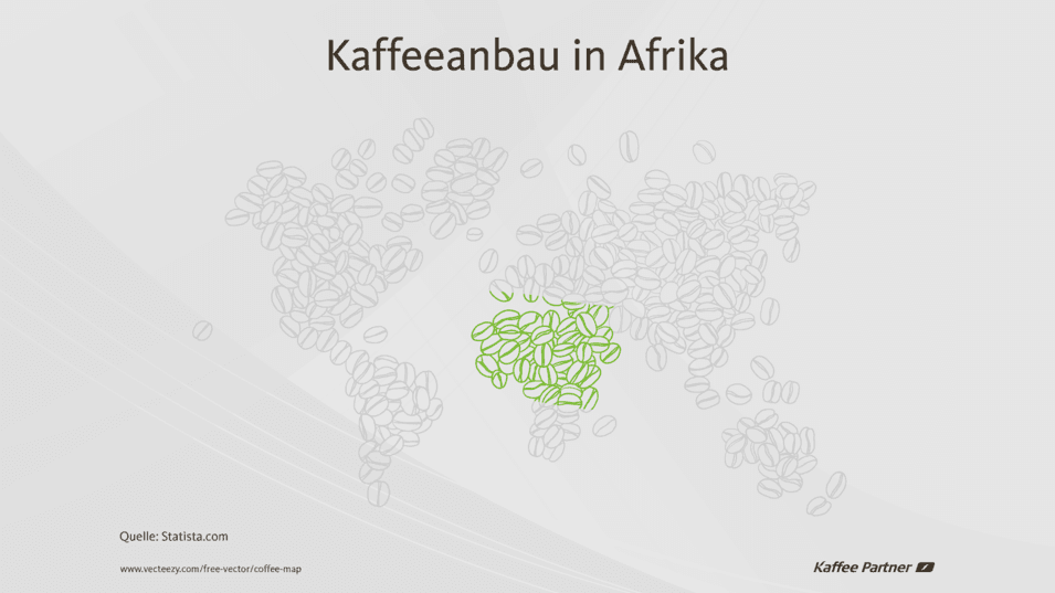 Landkarte mit Afrika als Kaffeeanbaugebiet