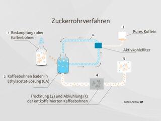 Das Zuckerrohrverfahren ist eine Lösungsmittelvariante der Entkoffeinierung