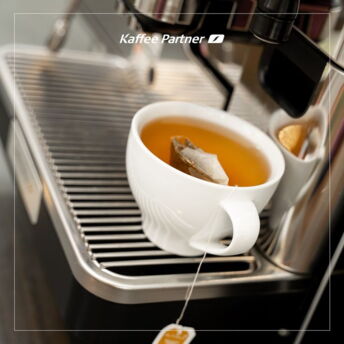 Tee heiß oder kalt genießen? Mit nur einem Knopfdruck zum Heißwasser für deinen Tee! 💧☕ Unsere Kaffeevollautomaten bieten euch sofort heißes Wasser für jede Teesorte – sei es Kräuter-, Frucht- oder Schwarztee. Genießt eure Teepause in vollen Zügen und entdeckt vielfältige Teesorten von Meßmer und edle Kompositionen von Althaus.

Ist euch zu warm für das gute Wetter? Geht auch als Eistee 😋

1. Tee mit Heißwasser aufgießen
2. Hellma Brauner Kandis und frisch gepressten Zitronensaft hinzufügen
2. Abkühlen lassen und mit Eiswürfeln servieren  

Bis auf die frisch gepressten Zitronen, alles bei uns im Online-Shop erhältlich 😉

Hier geht es zum Shop 🛒👇:

Deutschland: https://kpinfos.de/tee
Österreich: https://kpinfos.at/tee
Schweiz: https://kpinfos.ch/tee

#kaffeepartner #teesorten #heißwassertaste #teepause #kaffeevollautomaten