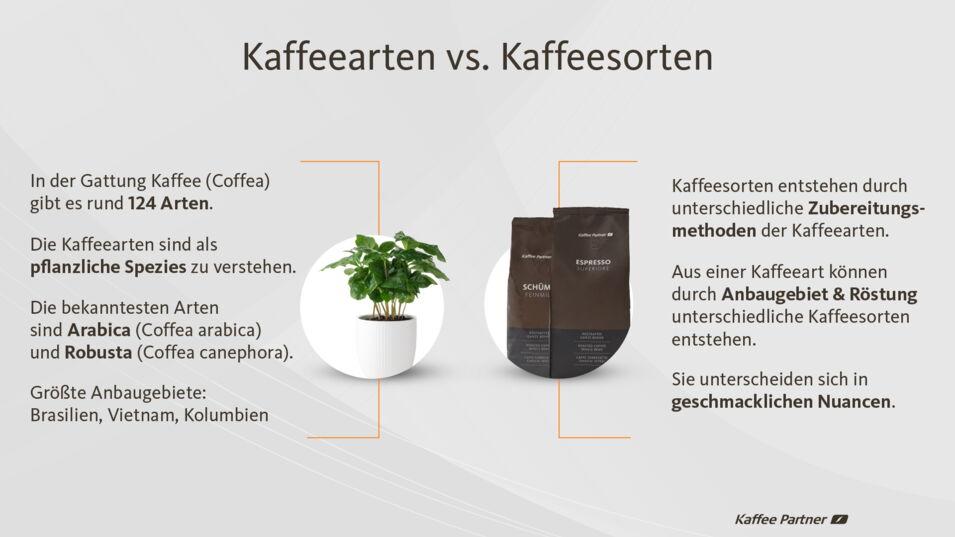 Infografik Kaffeesorten und -arten
