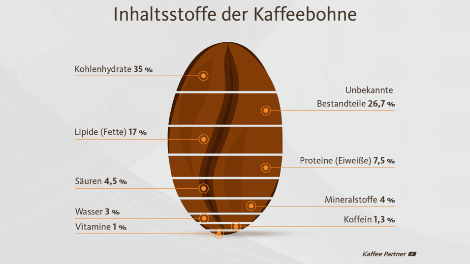 Infografik zu den Inhaltsstoffen der Kaffeebohne